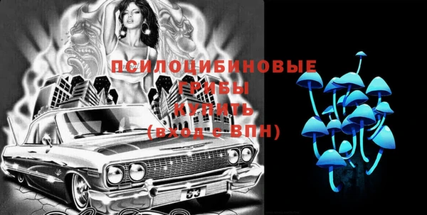 твердый Верхний Тагил