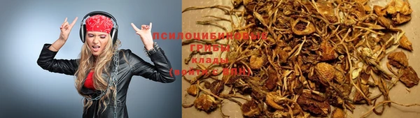 твердый Верхний Тагил